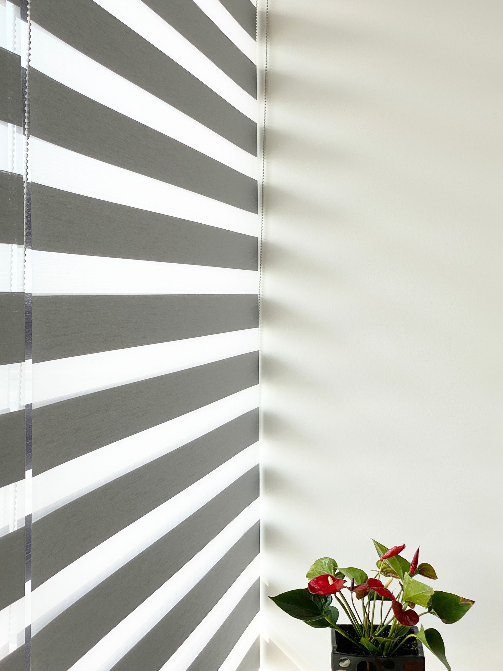 Zebra blinds with alternating sheer and opaque bands in a warm interior