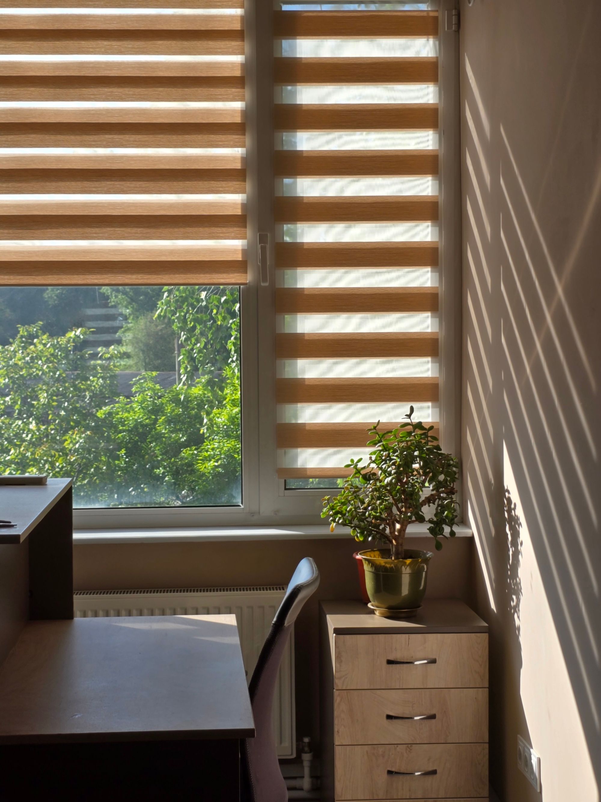 Warm-toned zebra blinds across a sunlit office window with striped shadow on the wall